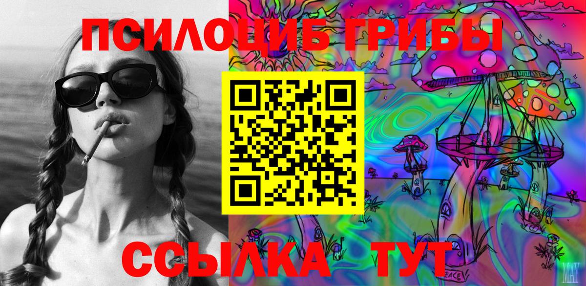 Ногинск  Псилоцибиновые грибы MAGIC MUSHROOMS  Вход с VPN 